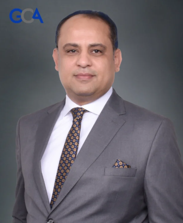 Accounting and Audit services